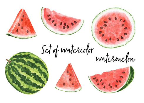 Set of watercolor watermelon isolated on white background. Hand drawn watercolor illustration.