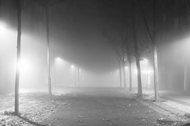 istock Dense fog.  Night photo.  Christmas. 1286324392