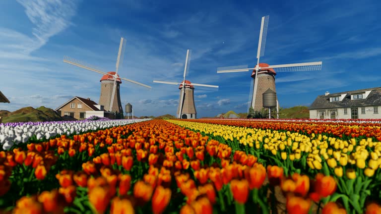 Dutch Windmill