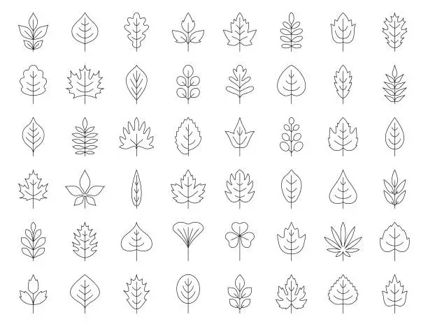 Vector illustration of Leaves icon set