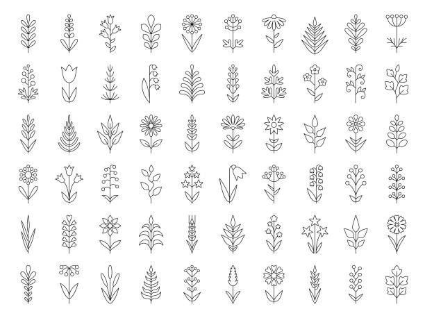 Plants icon set Set of decorative plants. Geometric icon set. Thin line illustration. Vector design elements on white background inflorescence stock illustrations
