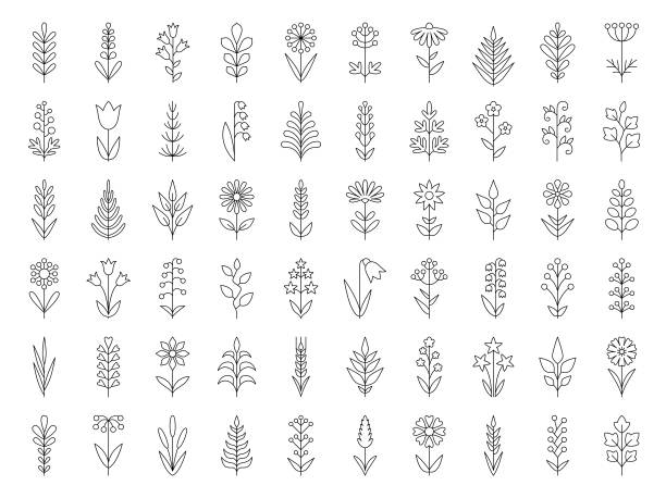 Plants icon set Set of decorative plants. Geometric icon set. Thin line illustration. Vector design elements on white background lily of the valley garden stock illustrations