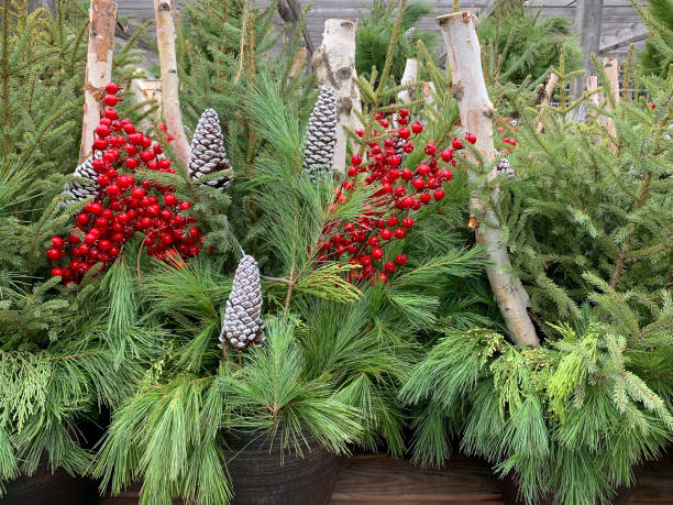 istock Holiday spruce top pots wallpaper 1286333851