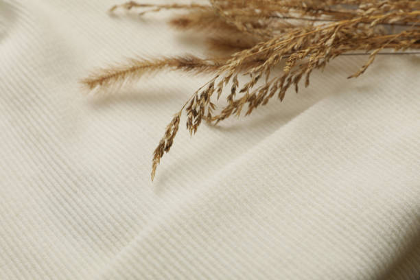 istock White beanie and field plants, close up and space for text 1286335924