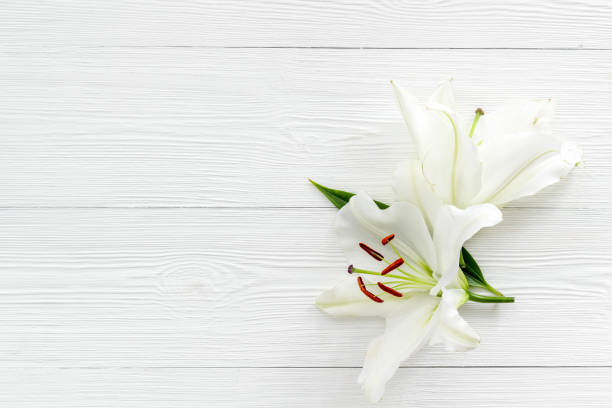 istock Condolence card with white flowers lily, from above 1286336047