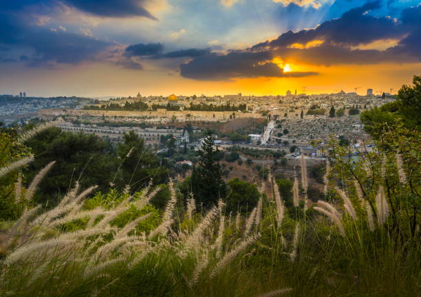 Sunset over Jerusalem Amazing sunset over Jerusalem: view of Kidron Valley from the southern neighbourhoods to the Old City and Temple Mount; view from the Mount of Olives, with beautiful grassy foreground kidron valley stock pictures, royalty-free photos & images