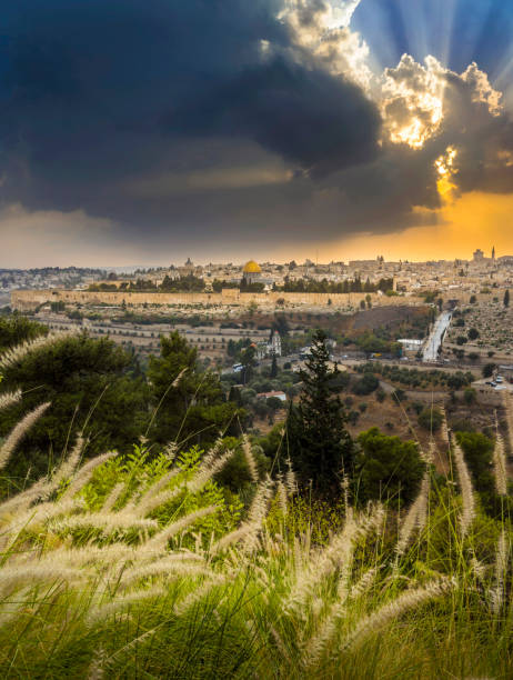 coucher du soleil au-dessus de jérusalem - jerusalem hills photos et images de collection