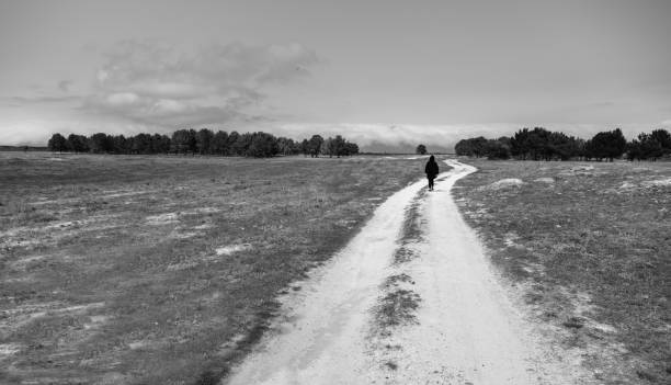 istock woman in landscape road 1286338267