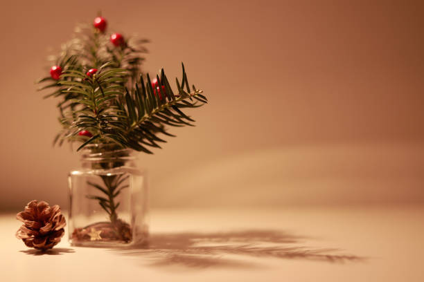 istock glass jar with pine in a golden atmosphere 1286339864