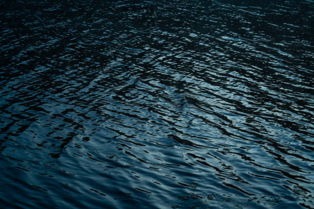 istock Small water waves in a lake 1286348948