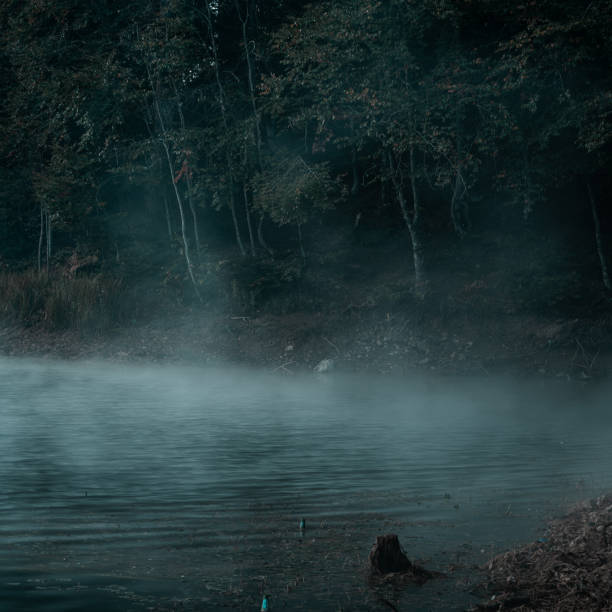 the river flows between cool coast in an environment of trees