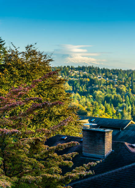 istock Saucer Clouds Over Rainier 3 1286350431