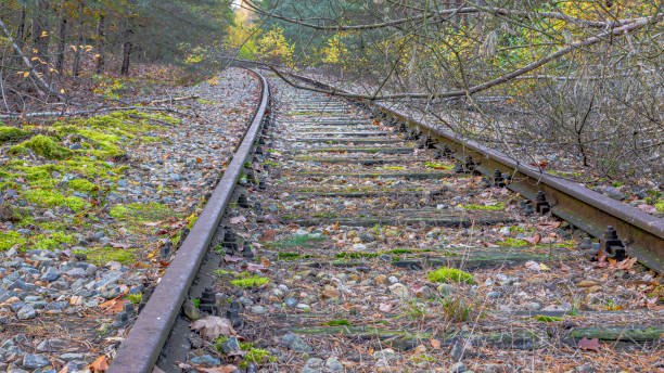 istock Old Rhine iron railway (IJzeren Rijn) with tree branches on the disused train track, autumn trees, moss on the stones on the ground 1286352067