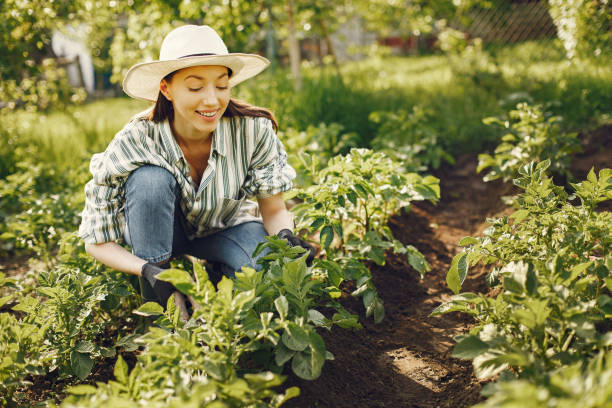 istock Woman in a hat working in a garden 1286353797