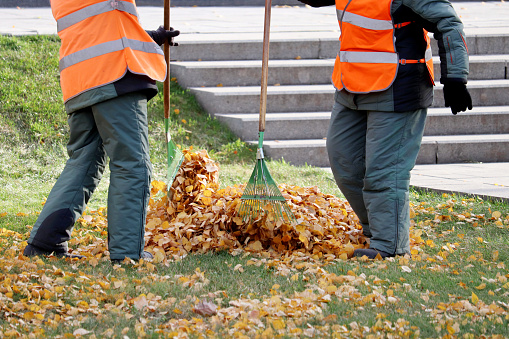 Cleaning leaves in the city park, street sweepers with rake