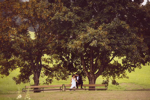 Beautiful groom and bride sitting on the bench next to two big trees