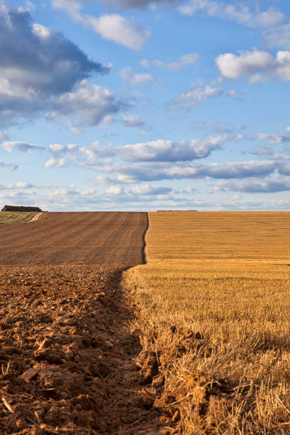istock plowed fertile soil agricultural field 1286359677
