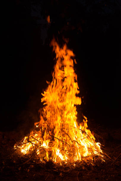 Bonfire burning in the night.
