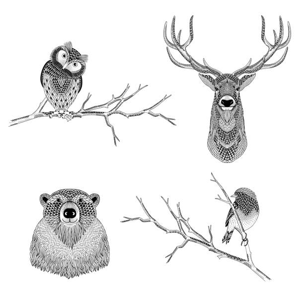 Artistic animal illustrations Artistic black and white illustration of wild forest animals - owl, deer, bear, bird owl illustrations stock illustrations