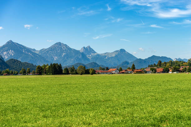 campi agricoli verdi e alpi bavaresi - schwangau germania - allgau bavaria mountain horizon foto e immagini stock