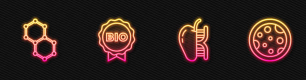 istock Set line Genetically modified apple, Chemical formula, Label bio healthy food and Petri dish with bacteria. Glowing neon icon. Vector 1286363861