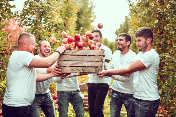 istock Happy Disabled Workers Playing With Crate Full Of Fresh Harvested Apples 1286364371