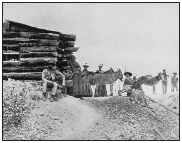 Antique black and white photo of the United States: Miner's camp, gold mine in Colorado Antique black and white photo of the United States: Miner's camp, gold mine in Colorado miners cabin stock illustrations