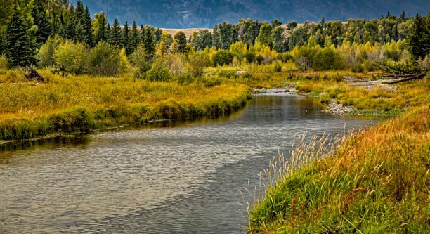 schwabachers landing - burney photos et images de collection