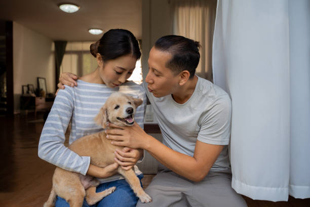 젊은 성인 아시아 부부는 배경에 집 인테리어와 강아지를 들고. 30 대 성숙한 남자 키스 개 애완 동물 에 팔에 여자. 남편과 아내는 집에서 함께 살고 있습니다. 현대 가족의 행복. - family home interior dog outdoors 뉴스 사진 이미지