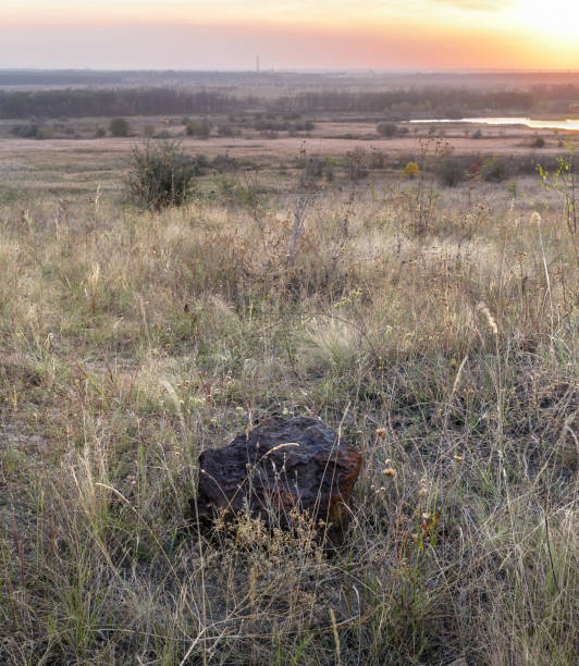 istock Steppe autumn landscapes with grass and trees. 1286365812