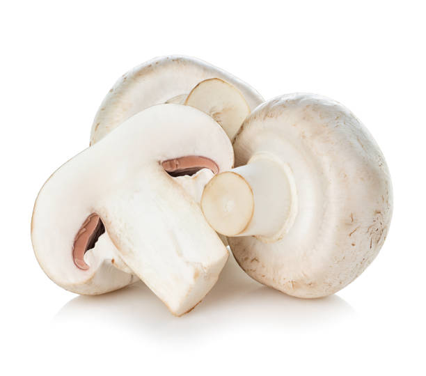 istock Fresh champignon mushrooms isolated on white background. 1286365841