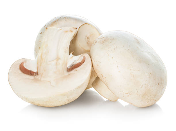 istock Fresh champignon mushrooms isolated on white background. 1286365850
