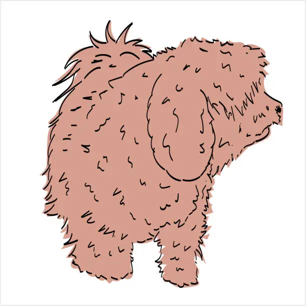 Vector illustration of A lovely very shaggy and disheveled little dog.