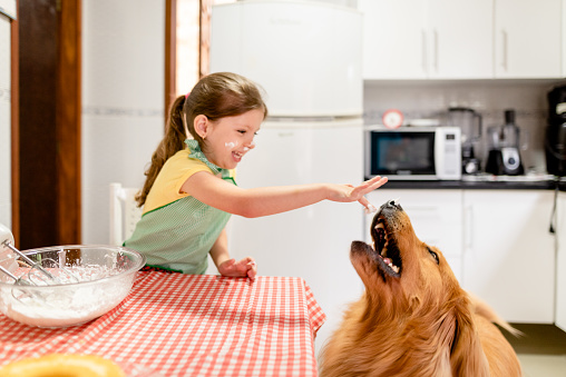 Small girl, in the kitchen preparing a cake recipe with the dog watching her