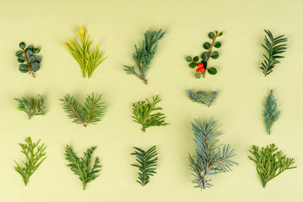 istock Christmas bright colored decorative background with New Year decorations 1286374244