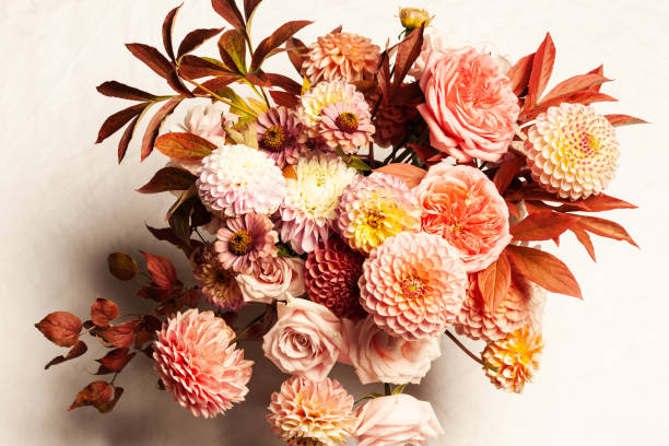 composición floral de flores de dalia, rosas y hojas de otoño. - fall bouqet fotografías e imágenes de stock