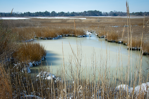 Brown winter marsh grasses surround frozen green marsh water extending to horizon with blue sky