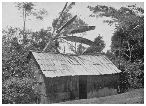 Antique black and white photo of the United States: Wayside hut, California