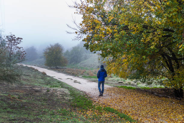 istock man with his back turned walks on a path carpeted by fallen yellow leaves from a tree in the field. Cold, humid and foggy weather 1286378111