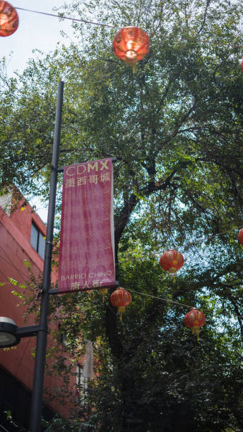 chinatown zeichen und baum umgeben von chinesischen lampen - mandarin titel stock-fotos und bilder