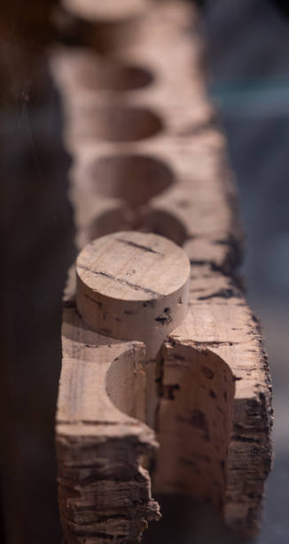 istock Traditional way of making cork stoppers for wine bottles from cork oak tree 1286380503