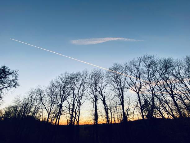 istock Bare trees and aircraft condensation jet on blue sky at sunset 1286385948
