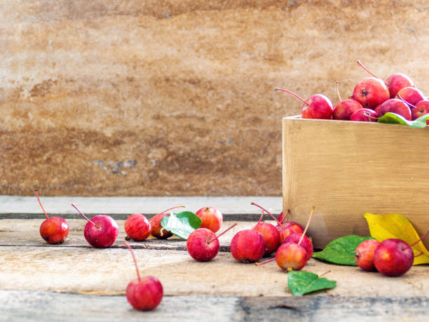 Miniature Japanese Apples in a Wooden Case After Harvest Miniature Japanese Apples in a Wooden Case After Harvest SMALL APPLE stock pictures, royalty-free photos & images
