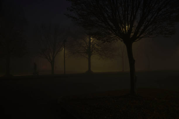 istock Street by night with fog and tree 1286386751
