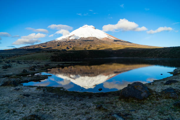 The Cotopaxi Volcano at sunrise taken from the Santo Domingo Lagoon The Cotopaxi Volcano at sunrise taken from the Santo Domingo Lagoon cotopaxi photos stock pictures, royalty-free photos & images