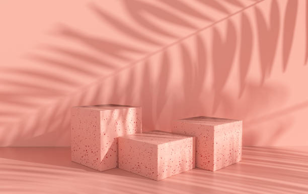 istock 3d rendered studio with geometric shapes, podium on the floor. Platforms for product presentation, mock up background. Abstract composition in minimal design, tropic palm leaves shadow 1286390489