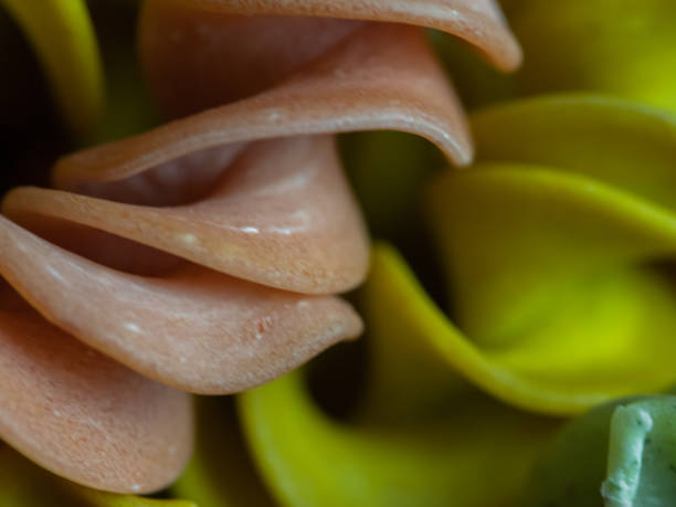 dry vegetable fusilli pasta - dry pasta fusilli comfort food imagens e fotografias de stock