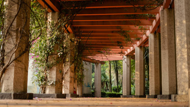 istock Low Angle View of a Path Surrounded by Columns in the Middle of a Park 1286391498