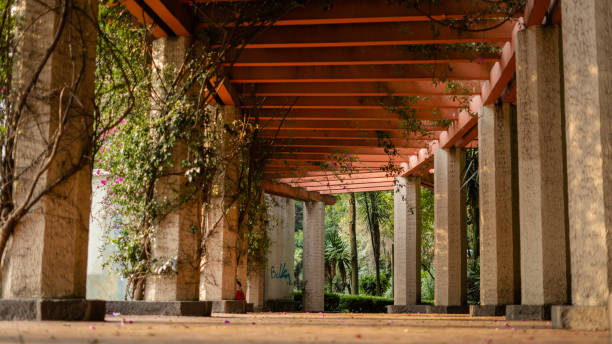 istock Low Angle View of a Path Surrounded by Columns in the Middle of a Park 1286391616