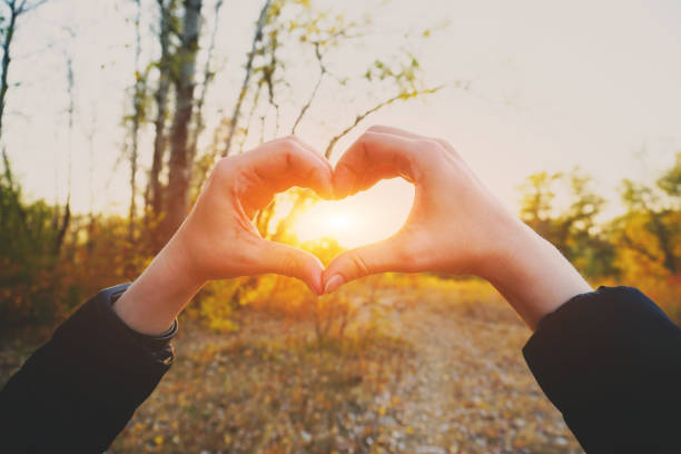 istock Woman hand making heart shape 1286393440